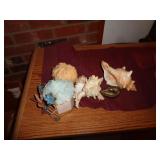 SEASHELLS & MISC / BM