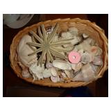 SEASHELLS / DR