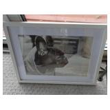 FRENCHIE DOG PHOTO / SR