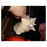 CONCH SHELL / BM