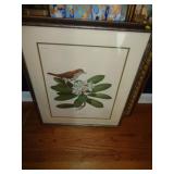 RAY HARM WOOD TRUSH PRINT 22"X27" / LR