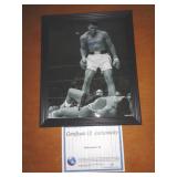 8X10 W COA -  MUHAMMAD ALI