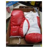 16OZ BOXING GLOVES