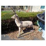CONCRETE DEER / MAY NEED REPAIR / PARTS THERE /OS