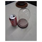 GLASS DOME DISPLAY