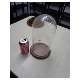 GLASS DOME DISPLAY
