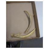 ANTLERS