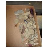 FOSSIL ROCKS