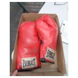 BOXING GLOVES