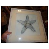 STAR FISH DECOR