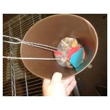 WASTE CAN / FLY SWATS & MOUSE TRAPS / UT