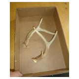 ANTLERS