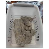 FOSSIL ROCKS