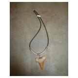 SHARK TOOTH NECKLACE