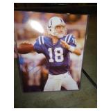 PEYTON MANNING 8"X10" W COA