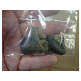 LOT OF SHARK TEETH