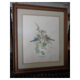 22X28 JIM OLIVER - EASTERN BLUEBIRDS