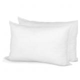 20" X 30" PILLOW INSERTS