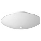 12" 2-LIGHT CEILING LIGHT