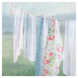 30X30 LAUNDRY DAY PRINT