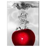 22X32 RED APPLE SPLASH CANVAS ART