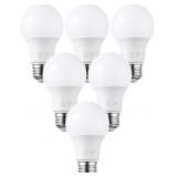 6PK A19 LED LIGHT BULBS