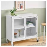 2 DOOR ROLLING CABINET