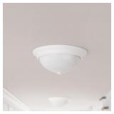 FLUSH MOUNT CEILING  LIGHT