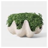 5" SHELL FAUX MOSS BOWL