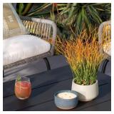 PAIR 16" FAUX PENCIL CACTUS PLANTS