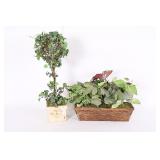 Decorative Fake Plants