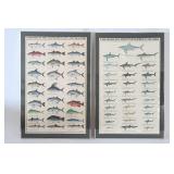 Wildlife Posters Of Fish And Sharks