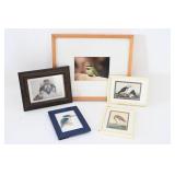 Five Framed Bird Prints