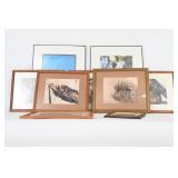 Framed Animal & Bird Photographs