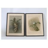 Pair Of Botanical Orchid Prints In Black Frames