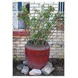 Large Red Terracotta Planter