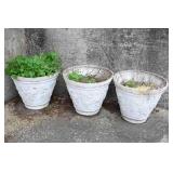 Plaster Planters