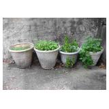 Plaster Planters