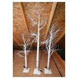 White Birch Lighted Trees