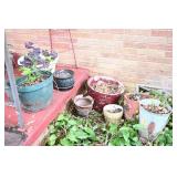 Garden Planters