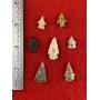 7 Arkansas Bird Points    Indian Artifact Arrowhea