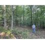 40 Acres of Prime Hunting Land in South Arkansas