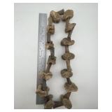Bone Necklace