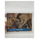 Richard Petty Hand Signed Authentic Autograph