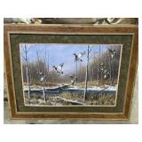 Large very nice Duck Picture