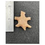 Lizard Effigy light red jasper Indian Artifact Arr