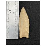 Angustora Paleo Point wild serrated edges ground b