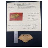 Turtle Shell Gorget with Thomas Matthews COA from