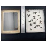 Group of Bird Points frame IS included