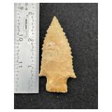 Pine Tree Indian Artifact Arrowhead